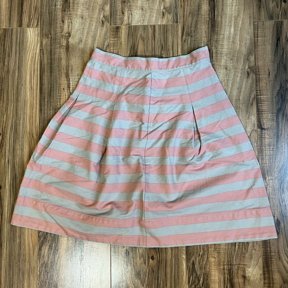 Corey Lynn calter pink and grey skirt 4